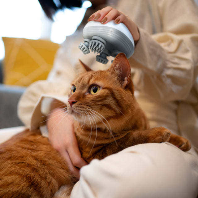 Pet Massager