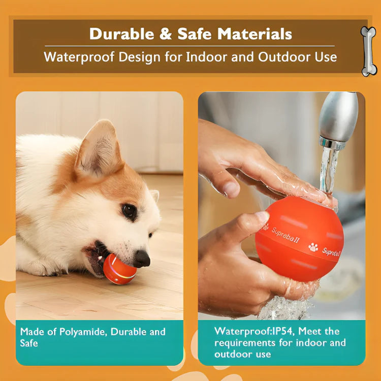 Interactive Pet Ball