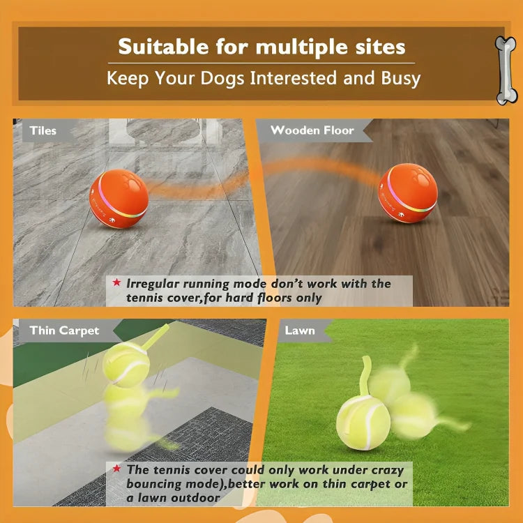 Interactive Pet Ball