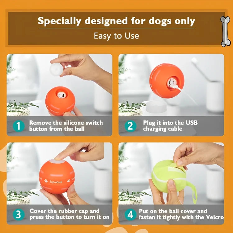Interactive Pet Ball