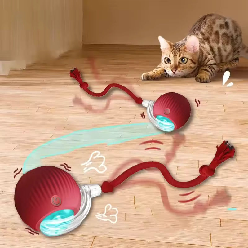 Rope Pet Ball