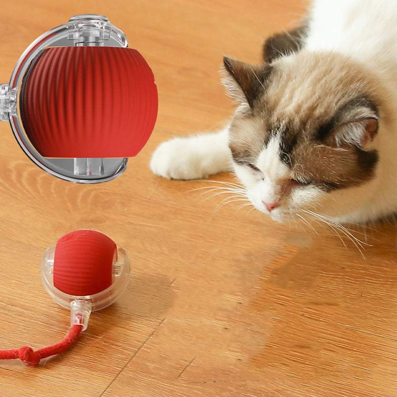 Rope Pet Ball