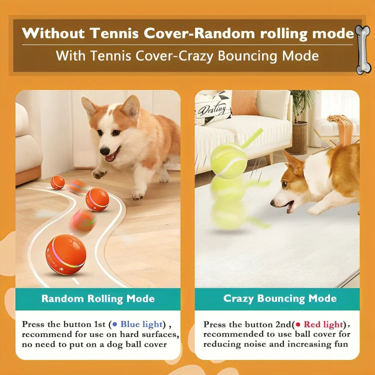 Interactive Pet Ball