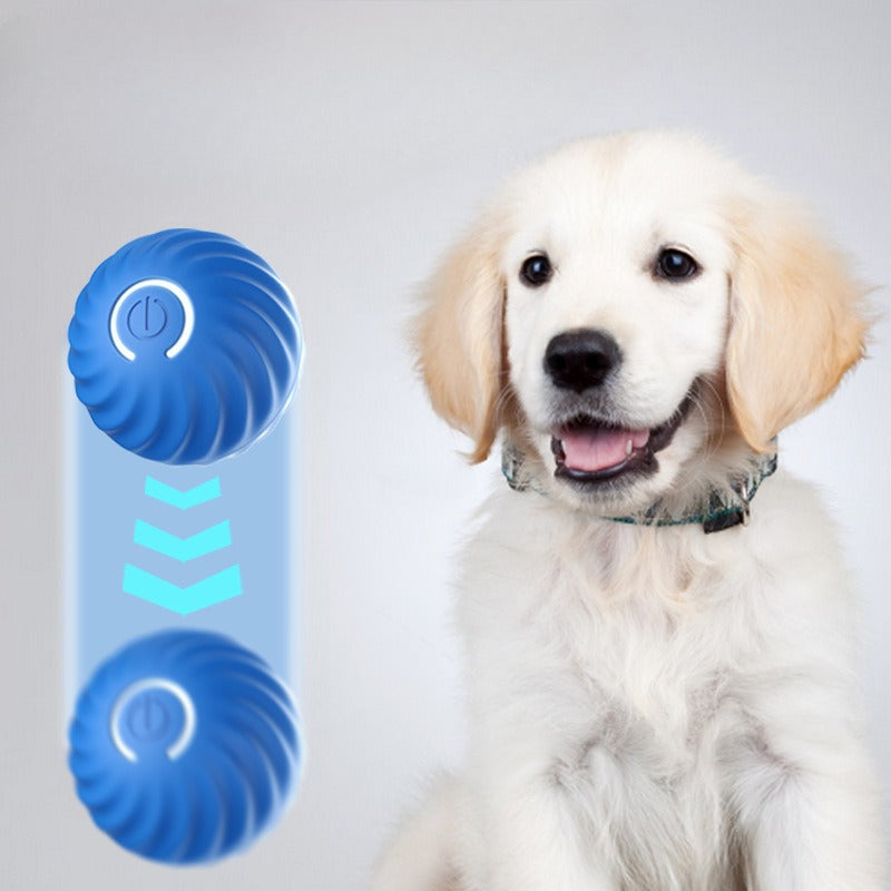 Gravity Pet Ball
