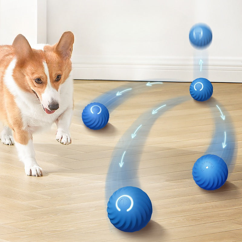 Gravity Pet Ball