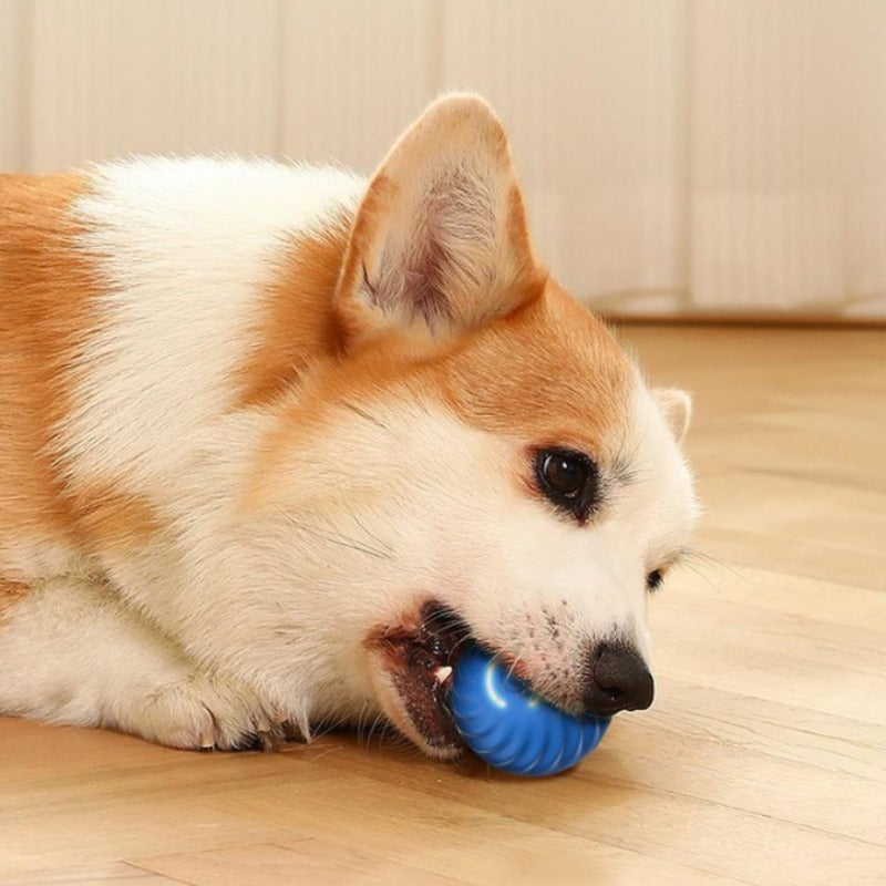 Gravity Pet Ball