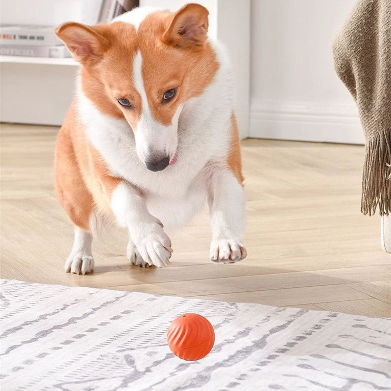 Gravity Pet Ball