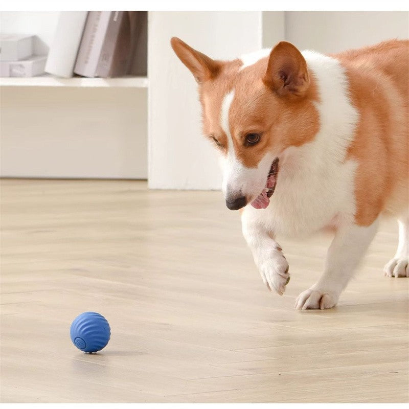 Gravity Pet Ball