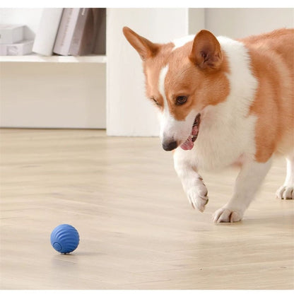 Gravity Pet Ball